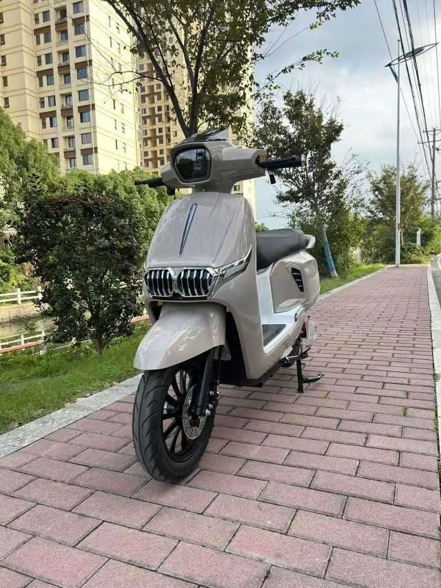 3kw Ckd Cargo Box Electric Motorcycle 2 Wheel Food Delivery Bike - Image 4