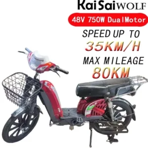 Long Range Electro Bicycle