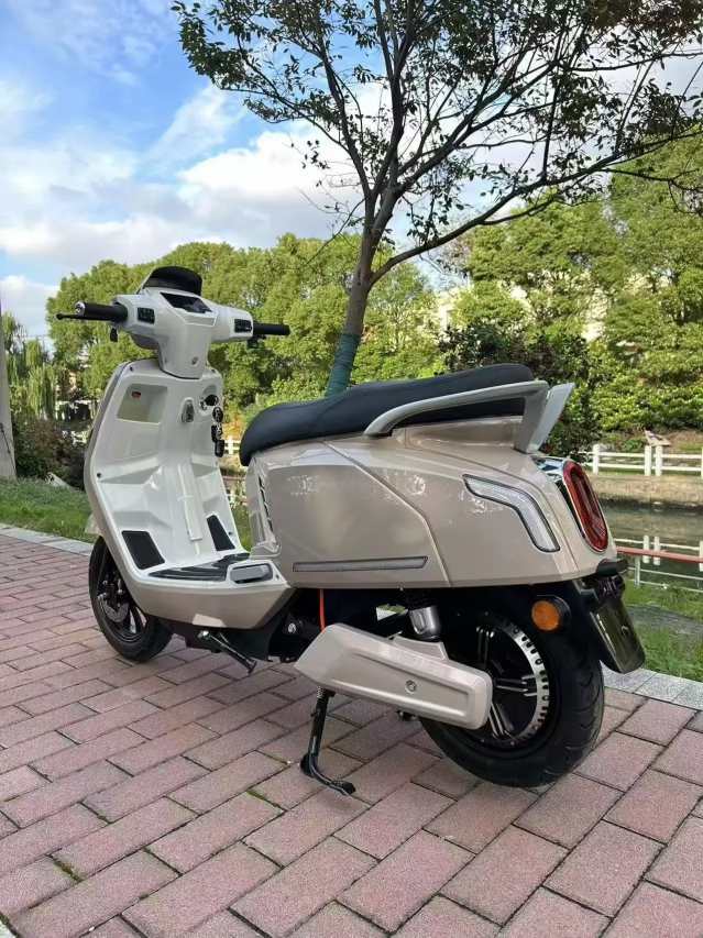 3kw Ckd Cargo Box Electric Motorcycle 2 Wheel Food Delivery Bike - Image 2