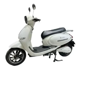 3kw 2 Wheel Cargo Skuter Ebike Dual Motor Electric Scooters