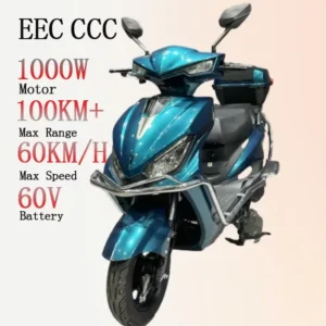 Adult Motorized Bicycle