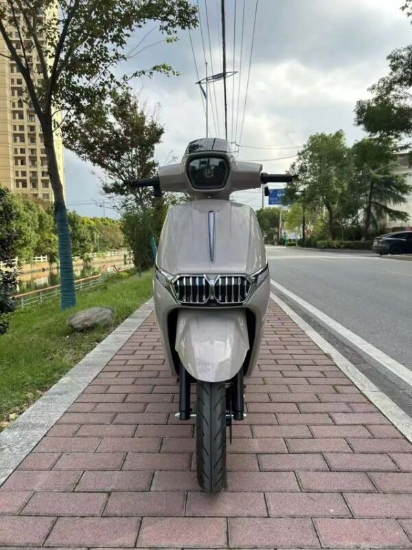 3kw Ckd Cargo Box Electric Motorcycle 2 Wheel Food Delivery Bike - Image 3