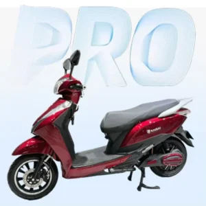 Adult Electric Motorcycle