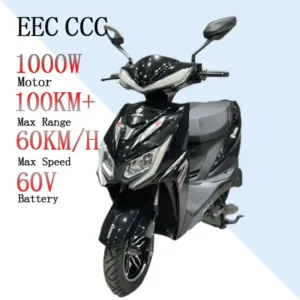 2 Wheel Mobility Scooter Electric Motorbike Long Range 72v 1000w Ckd